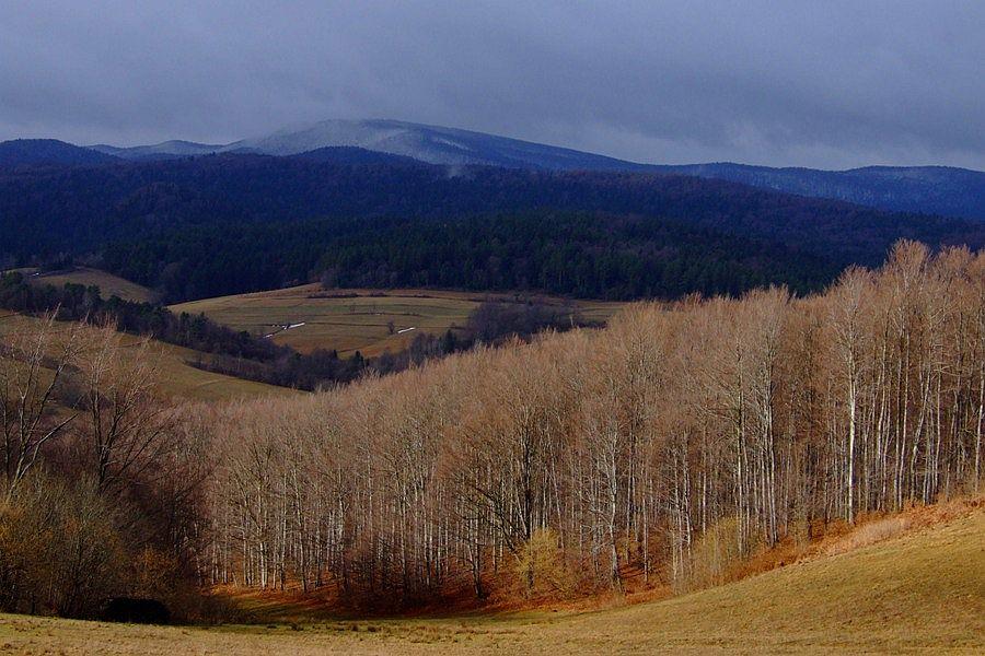 ZALESIENIA I INWESTYCJE PROW