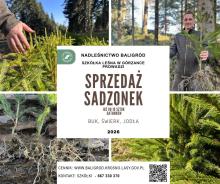 Sprzedaż sadzonek 2026